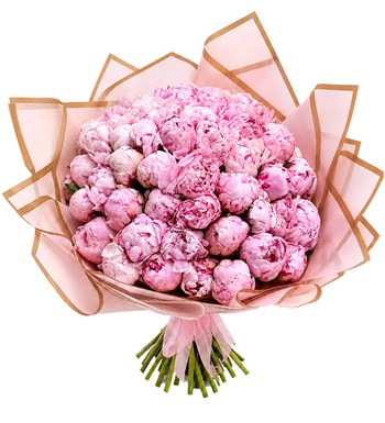 50 Adet Pembe Şakayık Buketi