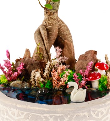 Beton Saksıda Bonsai Teraryum görsel 4