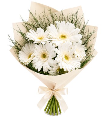 Beyaz Gerbera Buketi