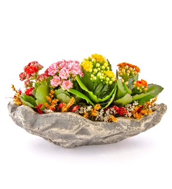 Canım Annem Tabelalı Marineris Serisi Kalanchoe Tasarım görsel 4