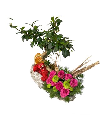 Kayık Saksıda Bonsai Ve Renkli Çardak Güller görsel 2