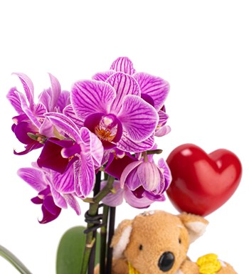Kayıp Hazineler Serisi Çift Dal Mini Orkide Kalp Kalbe Karşı Tasarım görsel 3