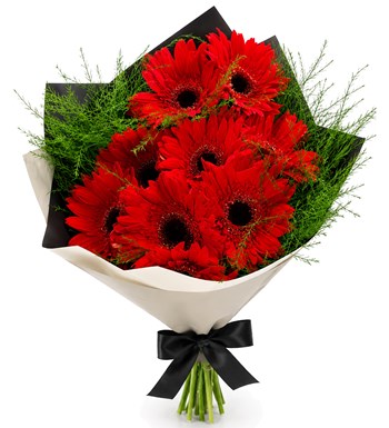 Kırmızı Gerbera Buketi