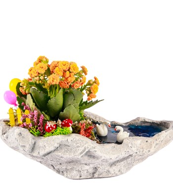 Marineris Serisi Balonlu Kalanchoe Teraryum görsel 2