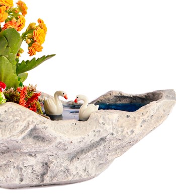Marineris Serisi Balonlu Kalanchoe Teraryum görsel 4