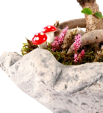 Marineris Serisi Bonsai Teraryum görsel 3