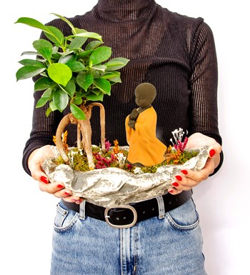 Marineris Serisi Buda Bonsai Bahçesi görsel 4