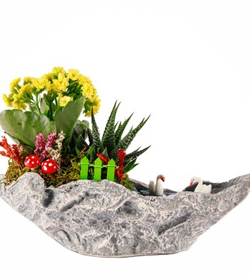 Marineris Serisi Haworthia ve Kalanchoe Teraryum görsel 2