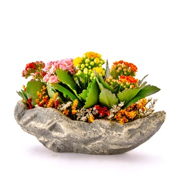 Marineris Serisi Kalanchoe Tasarım görsel 3