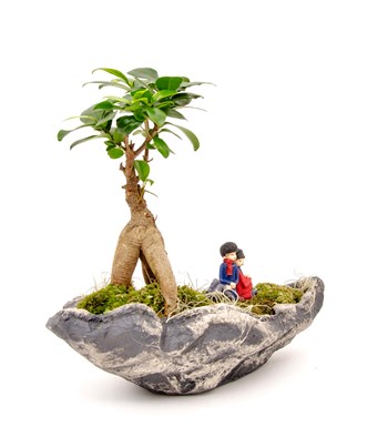 Marineris Serisi Sırt Sırta Bonsai Tasarım görsel 2
