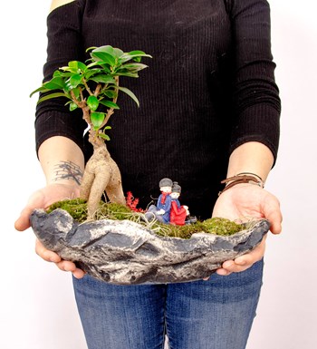 Marineris Serisi Sırt Sırta Bonsai Tasarım görsel 4