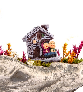 Marineris Serisi Taş Evim Bonsai Bahçesi görsel 3