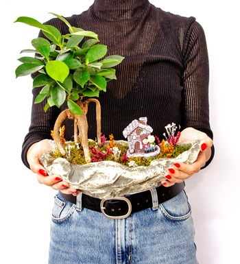 Marineris Serisi Taş Evim Bonsai Bahçesi görsel 4