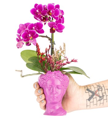 Mini Helen Serisi Tek Dal Orkide Tasarım - Fuşya Pembe görsel 3