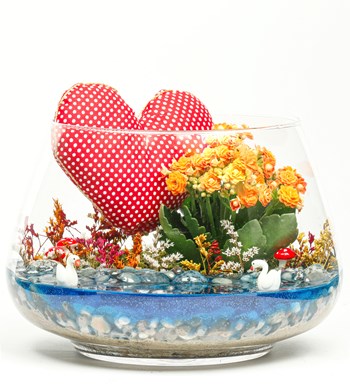 My Heart Serisi Kalanchoe Teraryum - Oslo görsel 2