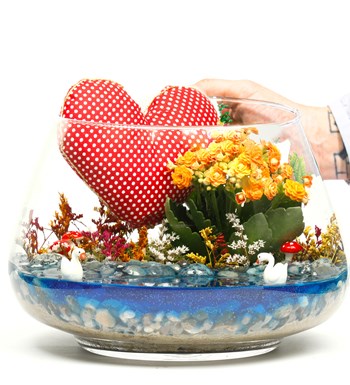 My Heart Serisi Kalanchoe Teraryum - Oslo görsel 3