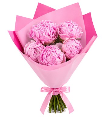 Pembe Ambalajda 5 Adet Pembe Şakayık Buketi