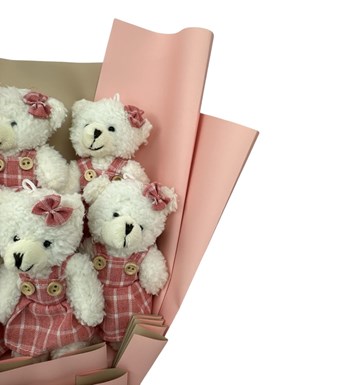 Pembe Ekose Elbiseli Sevimli Peluş Ayıcık Buketi görsel 2
