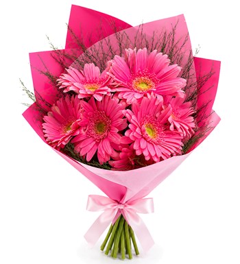 Pembe Gerbera Buketi