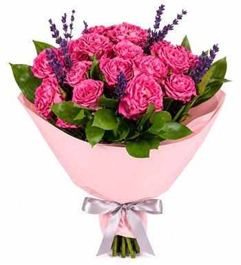Pembe Işıltı
