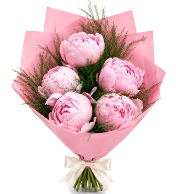 Pembe Şakayık Buketi