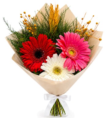 Renkli Gerbera Buketi