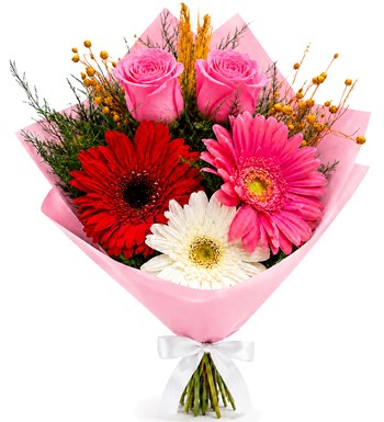 Renkli Gerbera ve Pembe Gül Buketi