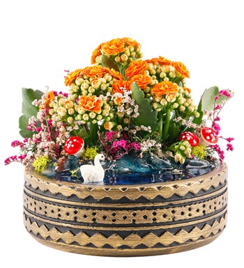 Ring Serisi Göl Kenarında Kalanchoe Teraryum