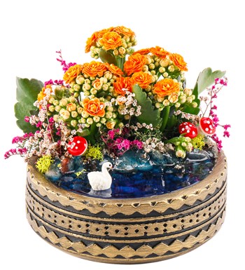 Ring Serisi Göl Kenarında Kalanchoe Teraryum görsel 2