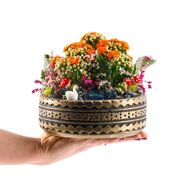 Ring Serisi Göl Kenarında Kalanchoe Teraryum görsel 3