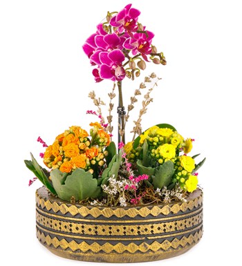 Ring Serisi Mini Mor Orkide ve Kalanchoe Tasarım görsel 2