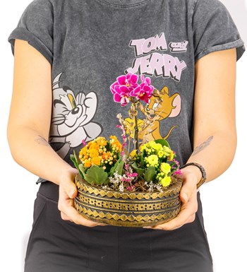 Ring Serisi Mini Mor Orkide ve Kalanchoe Tasarım görsel 3
