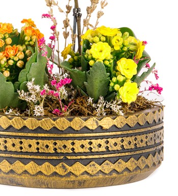 Ring Serisi Mini Mor Orkide ve Kalanchoe Tasarım görsel 5