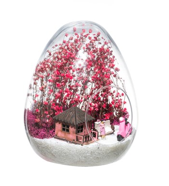 Teraryum Annemin Huzurlu Evi görsel 2
