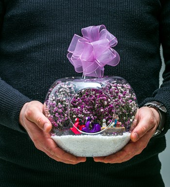 Teraryum Aşk Baharı Mor görsel 4