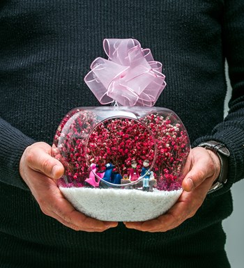 Teraryum Aşk Baharı Pembe görsel 4