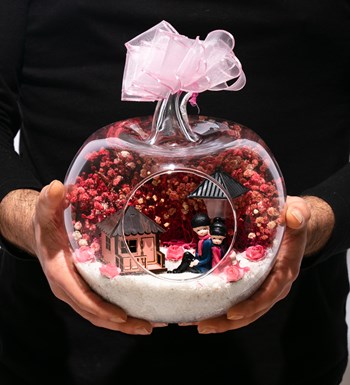 Teraryum Aşkım-Pembe görsel 4