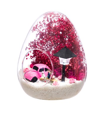 Teraryum Bahar Bahçesi Pembe görsel 2
