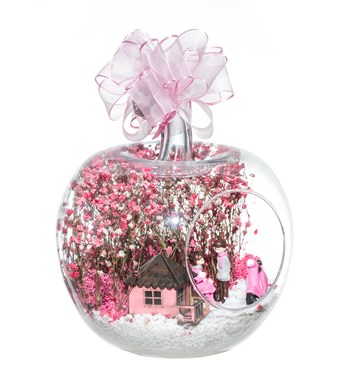 Teraryum Düşlerimizin Evi Pembe görsel 2