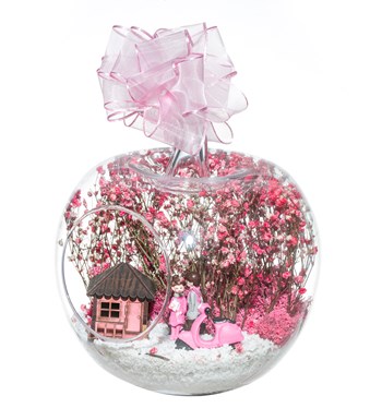 Teraryum Düşlerimizin Evi Pembe görsel 3