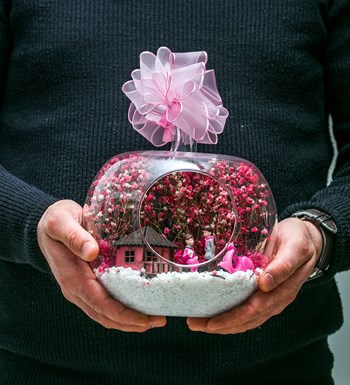 Teraryum Düşlerimizin Evi Pembe görsel 4