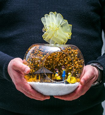 Teraryum Düşlerimizin Evi Sarı görsel 4
