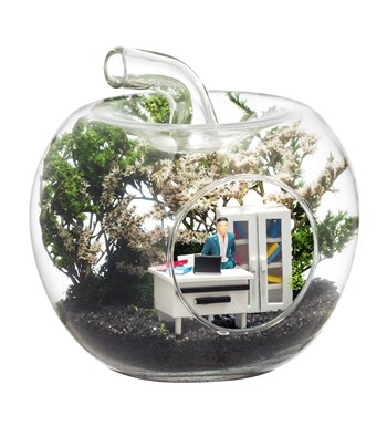 Teraryum Mini Yeni İş Erkek görsel 2