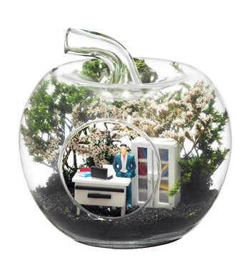 Teraryum Mini Yeni İş Erkek görsel 3