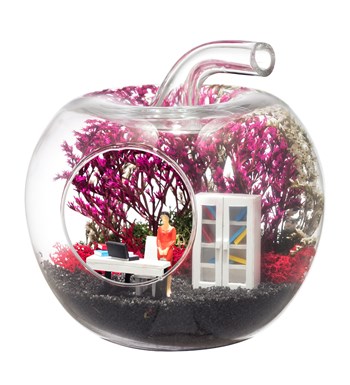 Teraryum Mini Yeni İş Kadın görsel 3