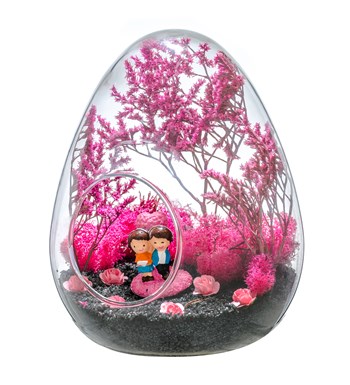 Teraryum Pembe Rüyam görsel 2