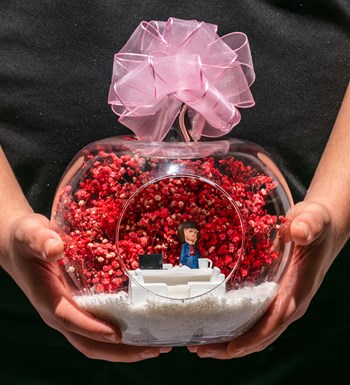 Teraryum Yeni İşinde Başarılar - Pembe - Esmer Lacivert Elbiseli görsel 2