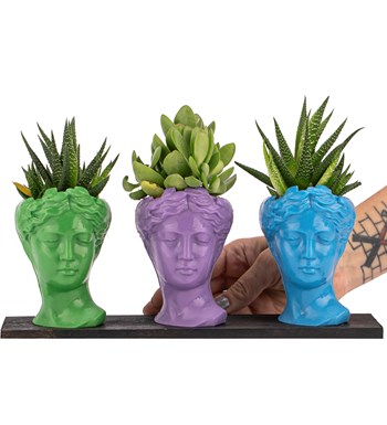 Trio Mini Helen Haworthia ve Sukulent Tasarım / Açık Yeşil - Lila - Turkuaz Colors görsel 2