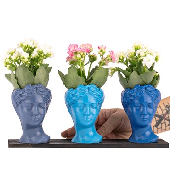 Trio Mini Helen Serisi Kalanchoe Tasarım - Blue Colors görsel 2