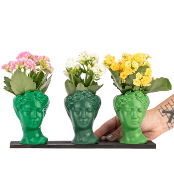 Trio Mini Helen Serisi Kalanchoe Tasarım - Green Colors görsel 2